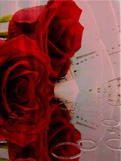 Роза, отражение в воде. Картинки на телефон 240х320.
