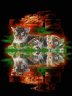 Львы, Тигры, Пантеры. Креативные заставки.