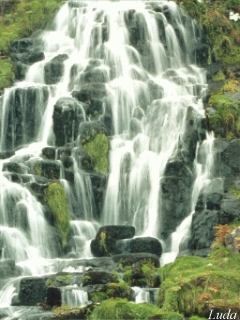 Лесные водопады. Анимированные картинки на телефон 240х320.