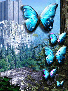 Изумительные бабочки. Анимационные обои на телефон бесплатно.